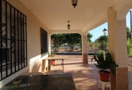 Sale - Finca - Crevillente