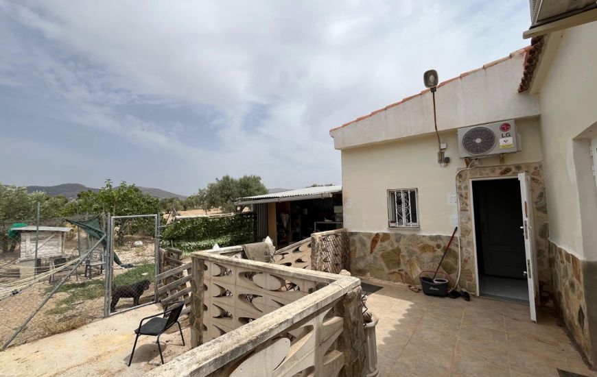 Sale - Finca - Sax