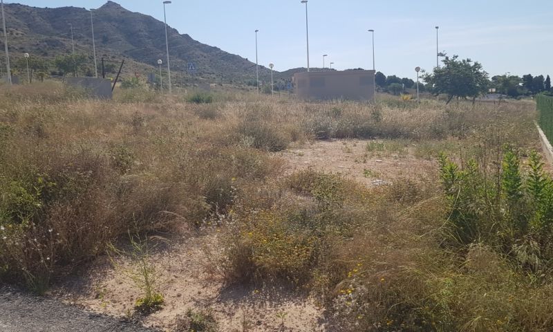 Sale - Land - Aspe
