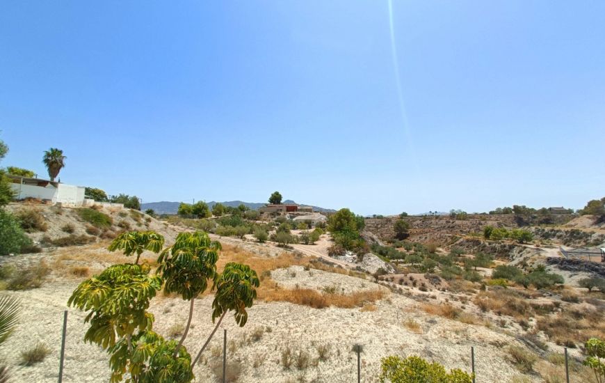 Sale - Finca - Abanilla