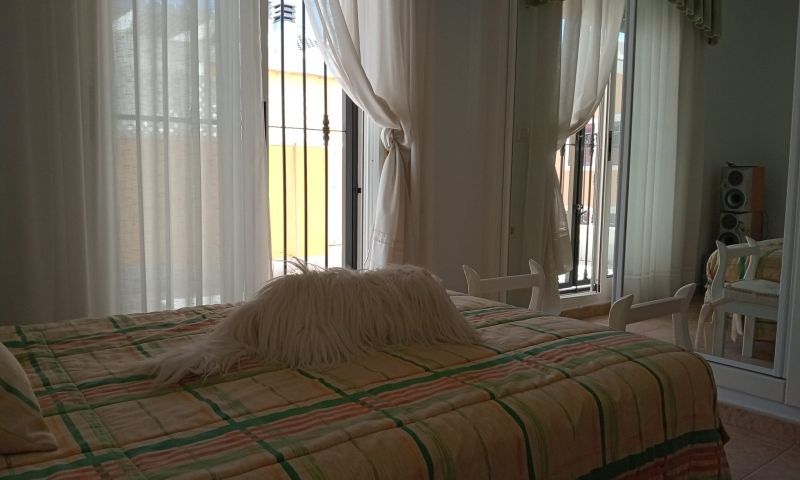 Sale - Villa - Pilar de la Horadada