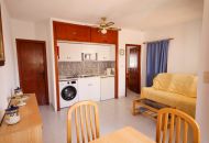 Sale -  - San Miguel de Salinas - 