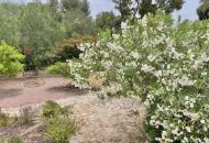 Sale - Villa - Algorfa