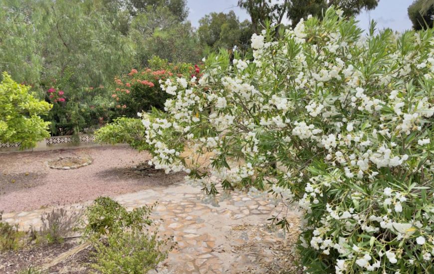 Sale - Villa - Algorfa