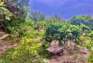 Sale - Finca - Rojales