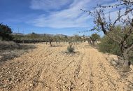Venta - Terreno - Hondón de las Nieves