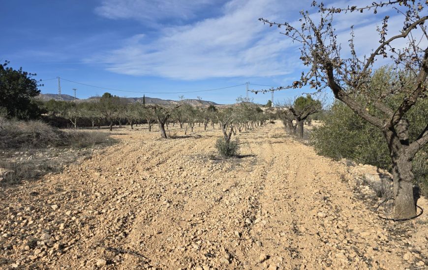 Venta - Terreno - Hondón de las Nieves