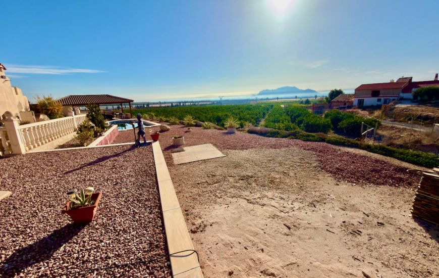 Venta - Casa Rural - Orihuela