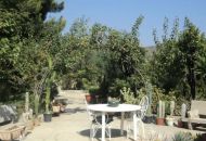 Sale - Villa - 