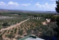 Sale - Villa - Venta Del Moro