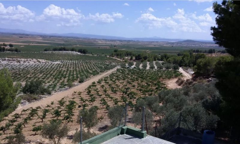 Sale - Villa - Venta Del Moro