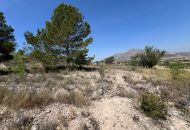 Sale - Land - Hondon de los Frailes