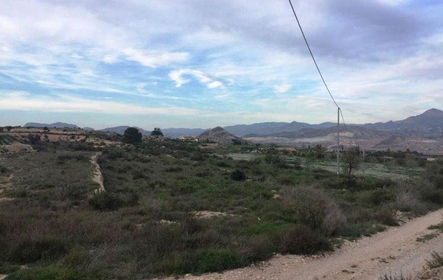 Sale - Land - Novelda