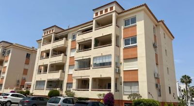 Apartamentos - Venta - Playa Flamenca - Playa Flamenca