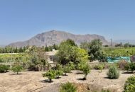 Sale - Finca - Orihuela