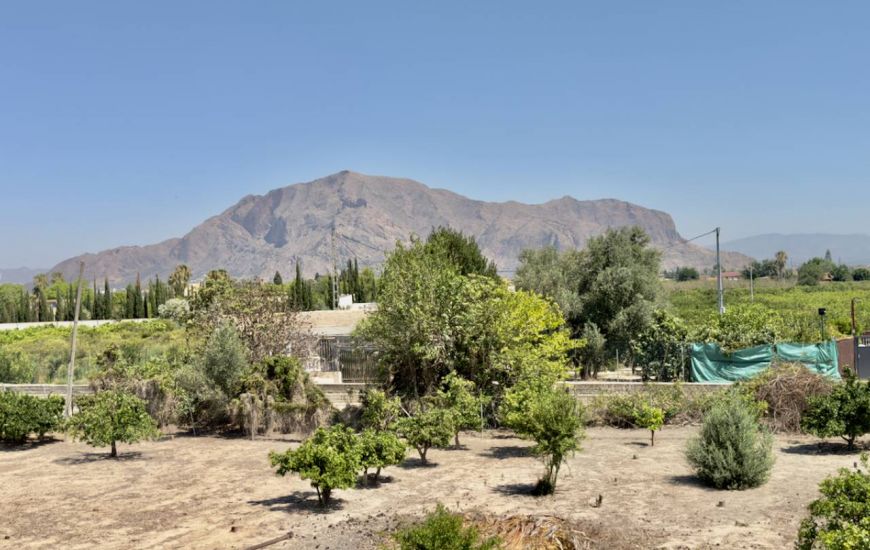 Sale - Finca - Orihuela