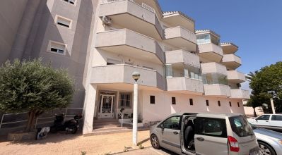 Apartamentos - Venta - Cabo Roig - Cabo Roig