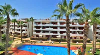 Apartments - Sale - Playa Flamenca - Playa Flamenca