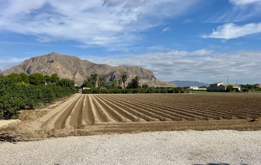 Sale - Villa - Orihuela