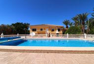 Sale - Finca - Catral