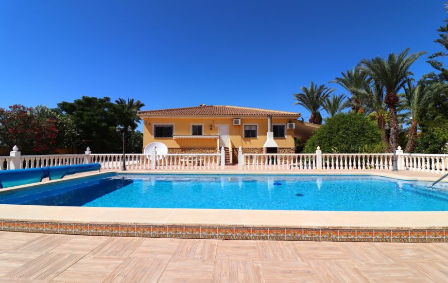 Sale - Finca - Catral