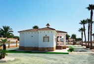Sale - Finca - Catral