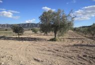 Venta - Casa Rural - Salinas