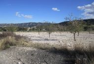 Venta - Casa Rural - Salinas