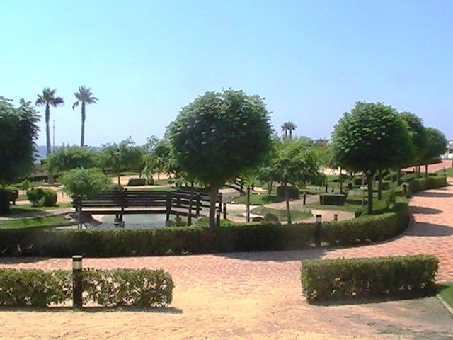 Nueva construcción  - Apartamentos - Other areas