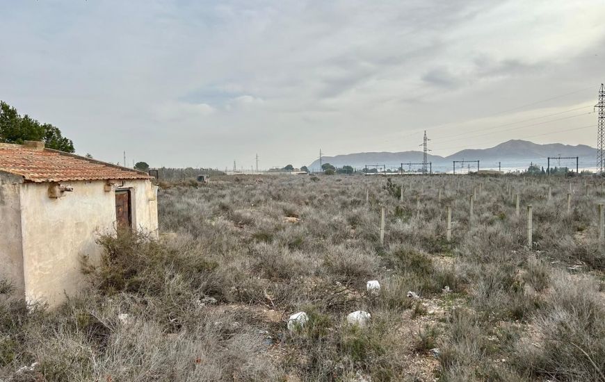 Venta - Terreno - Monforte del Cid