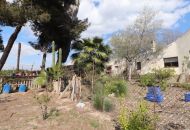 Venta - Apartamentos - 