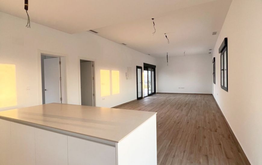 New Build - Villa - Aspe