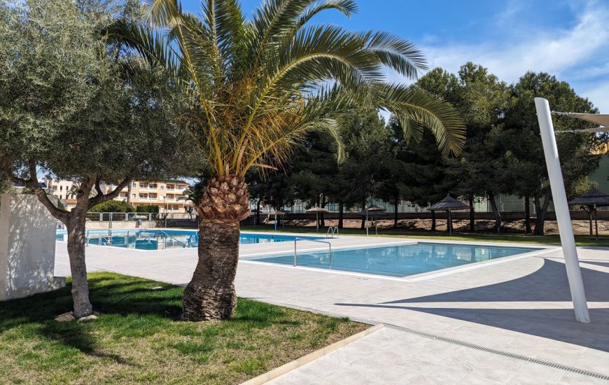 Sale - Apartments - Algorfa