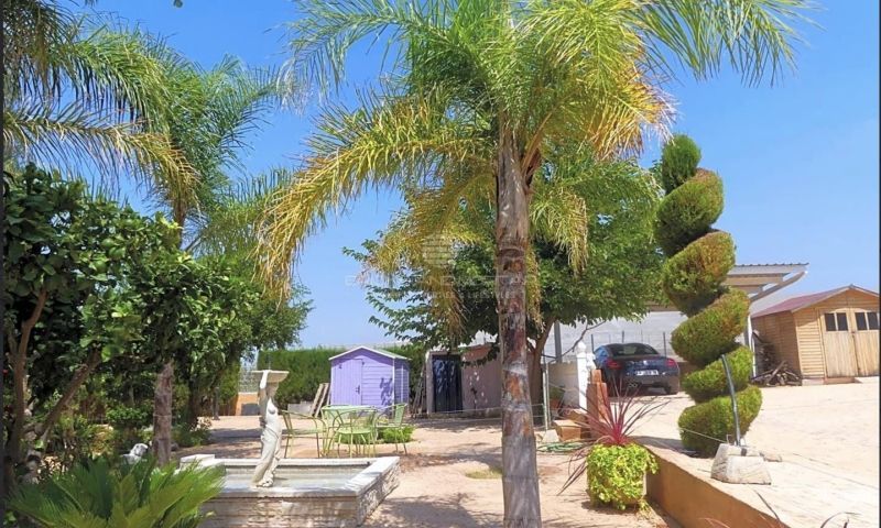 Venta - Apartamentos - 