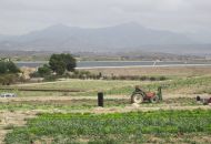 Sale - Land - Novelda