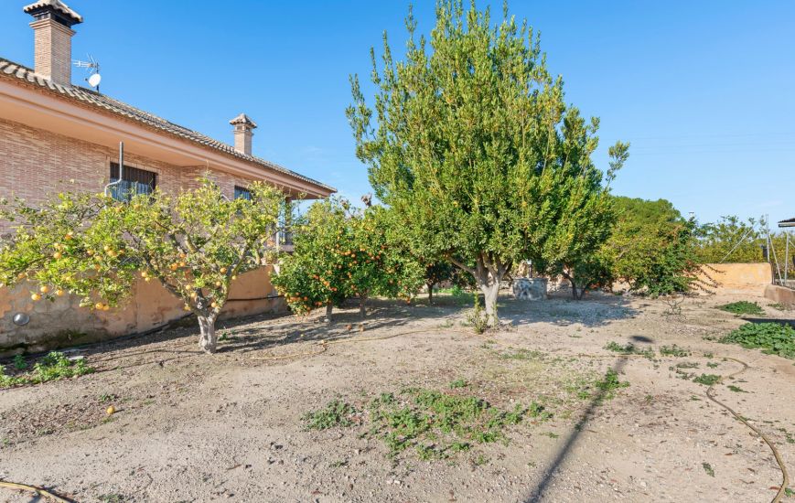 Venta - Country estate - Beniel