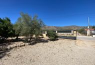 Sale - Finca - Salinas