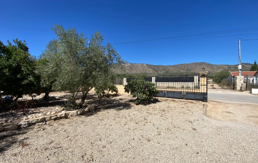 Sale - Finca - Salinas