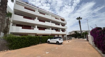 Apartamentos - Venta - Playa Flamenca - Playa Flamenca