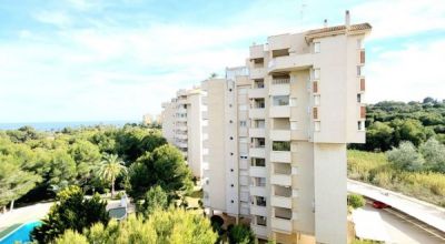 Apartamentos - Venta - Dehesa de Campoamor - Dehesa de Campoamor