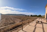 Sale - Finca - Salinas