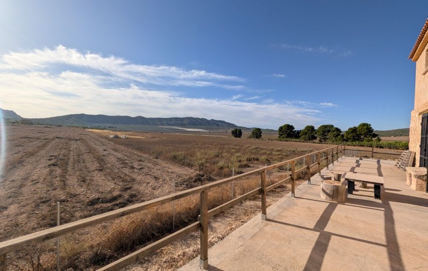 Sale - Finca - Salinas
