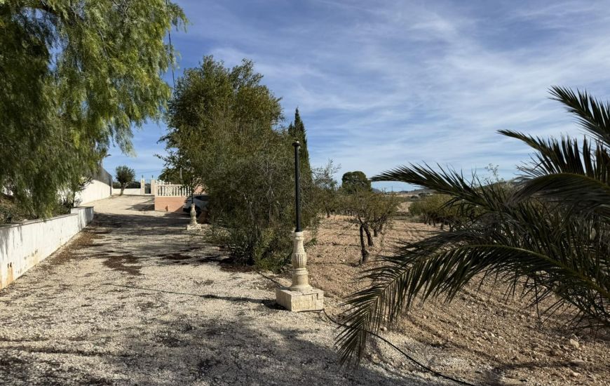 Sale - Country Property - Jumilla