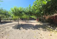 Sale - Country Property - Aspe