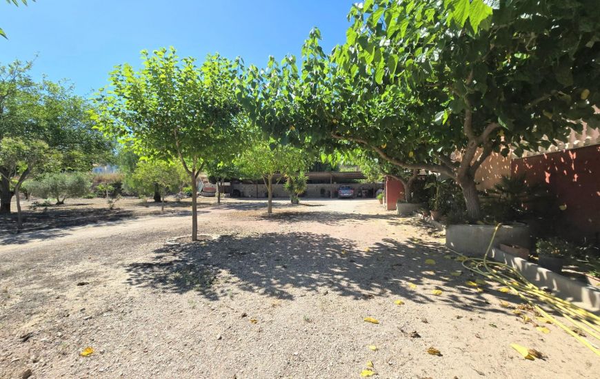 Sale - Country Property - Aspe