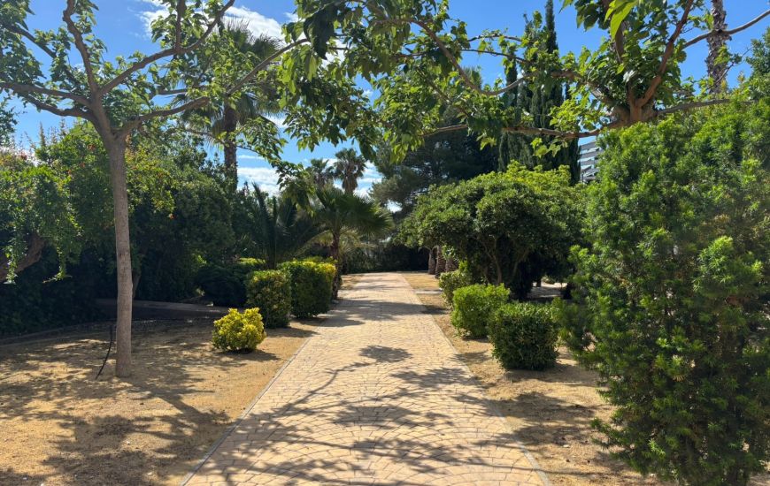 Sale - Country Property - Sax