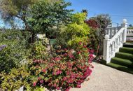 Sale - Finca - Catral