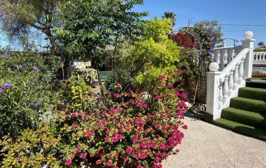 Sale - Finca - Catral