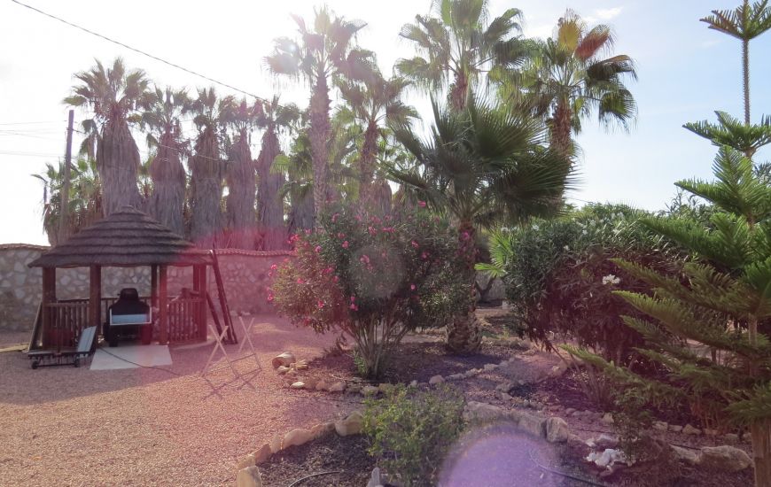 Sale - Finca - Daya Vieja