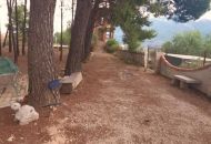 Sale - Finca - 